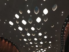 -郑州大剧院
