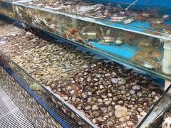 -港畔赶海蒸汽海鲜烧烤自助(仙螺岛店)