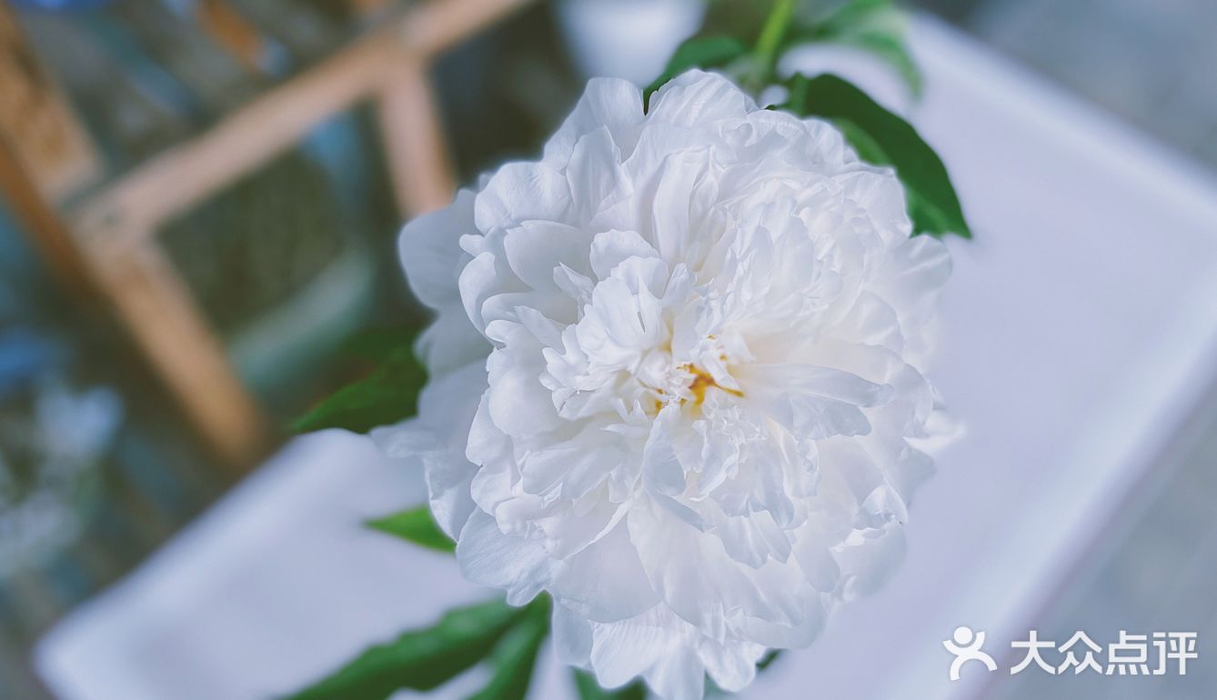 🍑bao买花材，一言难尽…