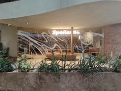 -SPOILER 黄石·全时段融合西餐(中华城店)