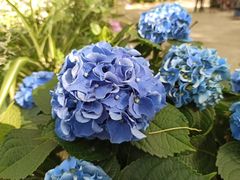 -共青国家森林公园-售票处