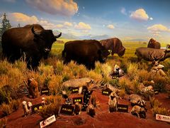 -陕西自然博物馆