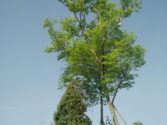 -白鹭湾湿地公园