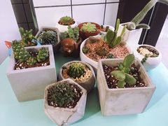 -蜜蜂小象·榴莲千层蛋糕(时代汇11栋店)