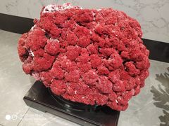 -蚝大仙横琴生蚝火锅(日月贝店)