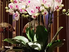 -国际饭店·原点咖啡吧ORIGIN CAFE&BAR