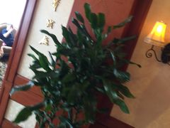 -上海国际饭店