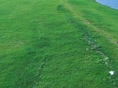 -鄱阳湖国家湿地公园