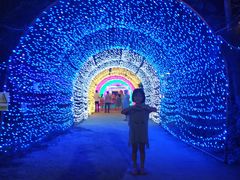 -广东花都香草世界旅游度假区