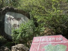 -白水寺森林公园
