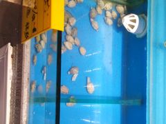 水产区-大明铜锅·烤涮坊·烧烤(新开路店)