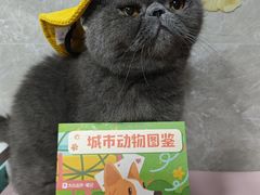 -瑞虹新天地月亮湾