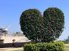 -东莞植物园