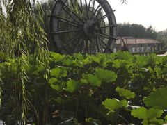 -河北村民俗体验园
