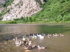 -白河湾生态旅游一条川