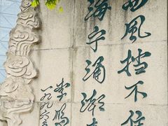 -观潮胜地公园