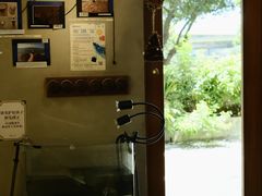 -时光花园(白鹭洲店)