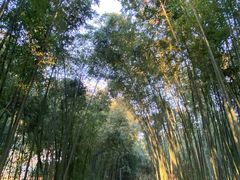 -苏州河梦清园环保主题公园