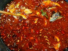 -懒猫鱼·稻田蛙·芋儿鸡火锅(成都东站店)