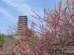 -牛首山文化旅游区