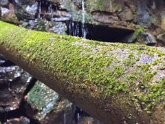 -藏龙百瀑风景区