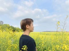 -光明小镇欢乐田园