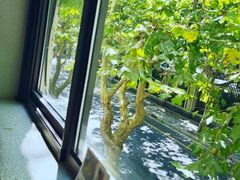 -Ginger(兴国路店)