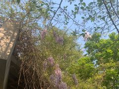 -白塘生态植物园
