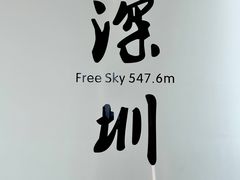 -平安金融中心云际观光层