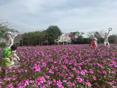 -广东花都香草世界旅游度假区