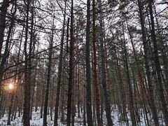 -帽儿山国家森林公园