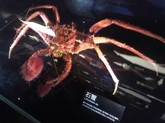 -同济大学四平路校区深海探索馆