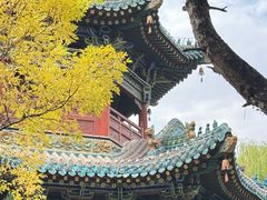 -迎泽公园