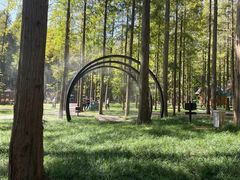 -黄海国家森林公园