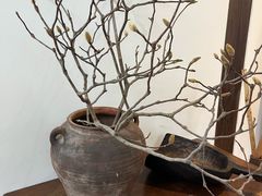 -MOJ coffee(瓯海泽雅水碓坑店)