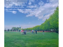 -北京国际鲜花港