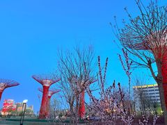 -保定东湖公园(莲池区)