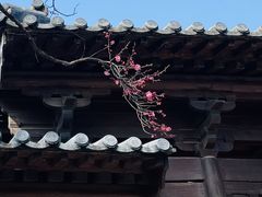 -广富林郊野公园