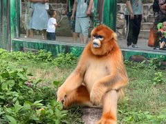 -西安秦岭野生动物园