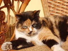 -十八家客栈(凤翔山庄店)