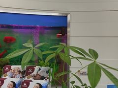 -雅悦齿科(顾村公园店)