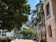 -香港大学