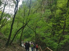 -北京上方山国家森林公园