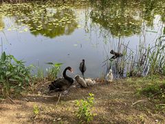 -长兴太湖图影湿地文化园