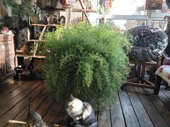 -慢丽江·云南野生菌土鸡锅(西山店)