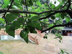 -峨眉山风景名胜区