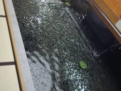 -汤泉良子(金源店)