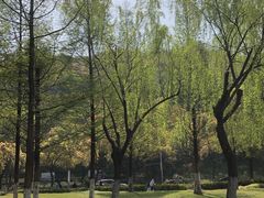 -汤山公园