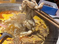 -老天桥蛙炉火锅(姑苏总店)