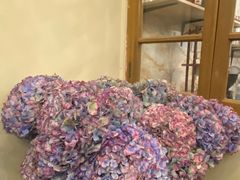 -花二家·生活馆(六运小区店)